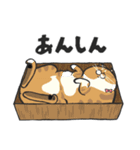 まべにゃん for 日常（個別スタンプ：14）