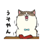 まべにゃん for 日常（個別スタンプ：18）