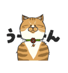 まべにゃん for 日常（個別スタンプ：23）