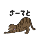 まべにゃん for 日常（個別スタンプ：29）