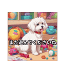 かわいい犬 マルチーズ（個別スタンプ：9）