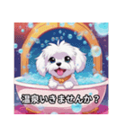 かわいい犬 マルチーズ（個別スタンプ：12）