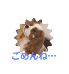 キャバリア クル②（個別スタンプ：29）