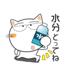 しろねこ★毎日使える天気の話題（個別スタンプ：19）