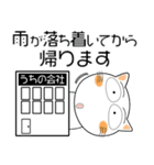 しろねこ★毎日使える天気の話題（個別スタンプ：30）