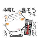 しろねこ★毎日使える天気の話題（個別スタンプ：37）