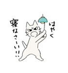 しかるねこ29（個別スタンプ：5）