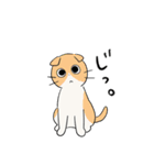 しかるねこ29（個別スタンプ：25）