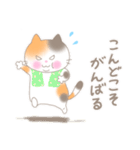 おデブ猫さん（個別スタンプ：9）