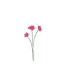 あなたに花束を。（個別スタンプ：11）