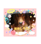 ダックスラらぶらぶ（個別スタンプ：8）
