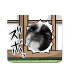 実吉アニマル（個別スタンプ：5）