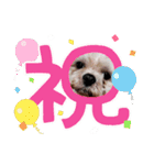 実吉アニマル（個別スタンプ：9）