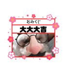 実吉アニマル（個別スタンプ：13）