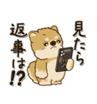 柴犬・茶色い犬 『親って大変なんだよね』（個別スタンプ：8）