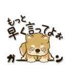 柴犬・茶色い犬 『親って大変なんだよね』（個別スタンプ：19）