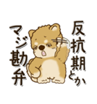 柴犬・茶色い犬 『親って大変なんだよね』（個別スタンプ：21）