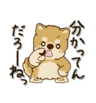 柴犬・茶色い犬 『親って大変なんだよね』（個別スタンプ：27）