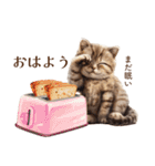 子猫たちのスタンプ♪（個別スタンプ：1）