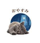 子猫たちのスタンプ♪（個別スタンプ：4）