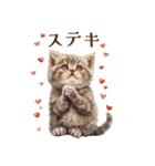 子猫たちのスタンプ♪（個別スタンプ：13）