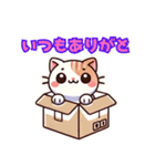 恋してにゃんこ（個別スタンプ：24）