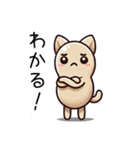 豆ねこ三兄弟(全肯定編)（個別スタンプ：20）