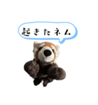 ネムくん日常会話スタンプ（個別スタンプ：4）