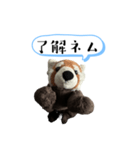 ネムくん日常会話スタンプ（個別スタンプ：10）