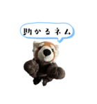 ネムくん日常会話スタンプ（個別スタンプ：20）