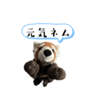 ネムくん日常会話スタンプ（個別スタンプ：23）