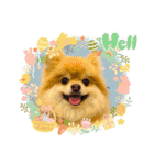 Baby sイベント（個別スタンプ：4）