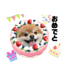 Baby sイベント（個別スタンプ：6）