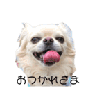 キキララルルすたんぷたちず（個別スタンプ：30）