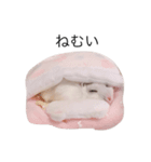 はむびより（個別スタンプ：3）