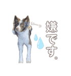 ログ太スタンプになる。2（個別スタンプ：6）