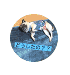 884家のお嬢さんたち（個別スタンプ：18）