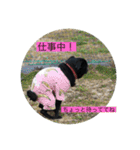 884家のお嬢さんたち（個別スタンプ：23）