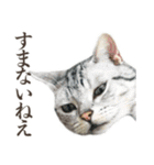 働く猫 ゆる〜く頑張る編（個別スタンプ：14）