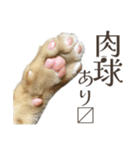 働く猫 ゆる〜く頑張る編（個別スタンプ：27）