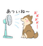 狼のウルンくん 8 【夏】（個別スタンプ：11）