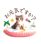 背景が動く！夏の猫ちゃんスタンプ♪（個別スタンプ：1）