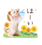 背景が動く！夏の猫ちゃんスタンプ♪（個別スタンプ：21）