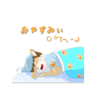 夢柴犬斗スタンプ！（個別スタンプ：3）