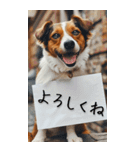 【BIG】犬からの手紙⭐️（個別スタンプ：5）