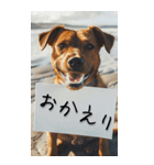 【BIG】犬からの手紙⭐️（個別スタンプ：20）