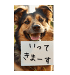 【BIG】犬からの手紙⭐️（個別スタンプ：32）