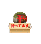 Nakayosi_Kingyo（個別スタンプ：12）