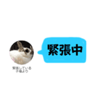 LINE風のLINEスタンプ 子福 Ve（個別スタンプ：6）