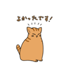 マシュマロねこ ちゃとらん（敬語ver.）（個別スタンプ：30）